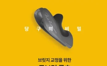 큐브릿루츠 추천 1등 상품 가격비교와 후기 정리