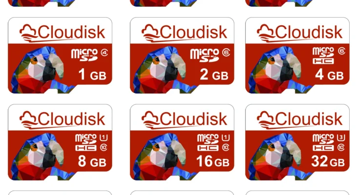 Clouddisk 메모리 카드, U3 앵무새 모티브 TF 마이크로 SD 카드, 휴대폰 태블릿용, 128GB, 256GB, 64GB, 32GB, 16GB, 8GB, 4GB, 2GB, 1GB, C10