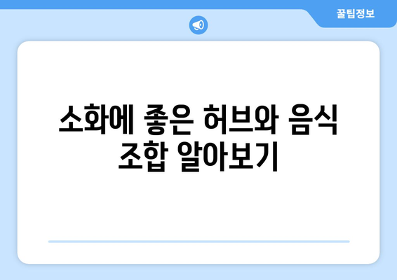 소화 잘되는 식습관과 간식 추천| 건강한 소화의 비밀을 알아보세요! | 소화, 건강, 식사법, 간식 리스트