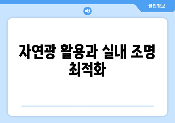 시력 보호를 위한 올바른 생활 습관| 실천 가능한 10가지 팁 | 건강, 눈 관리, 라이프스타일"