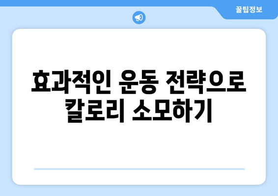 건강한 체중 감량을 위한 다이어트 팁 | 효과적인 방법, 식단, 운동 전략