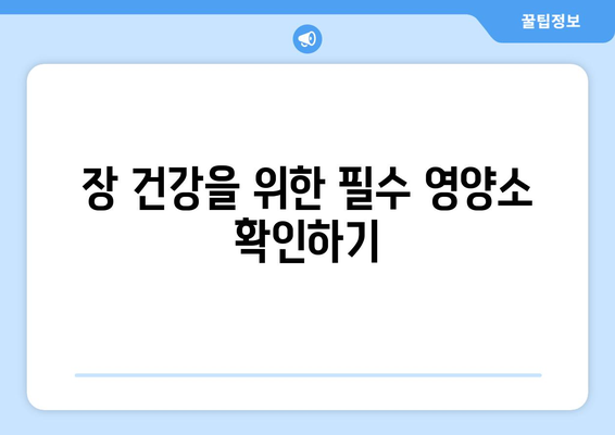 소화 잘되는 식습관과 간식 추천| 건강한 소화의 비밀을 알아보세요! | 소화, 건강, 식사법, 간식 리스트